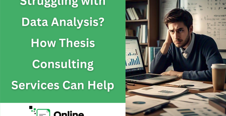 Thesis Consulting Services