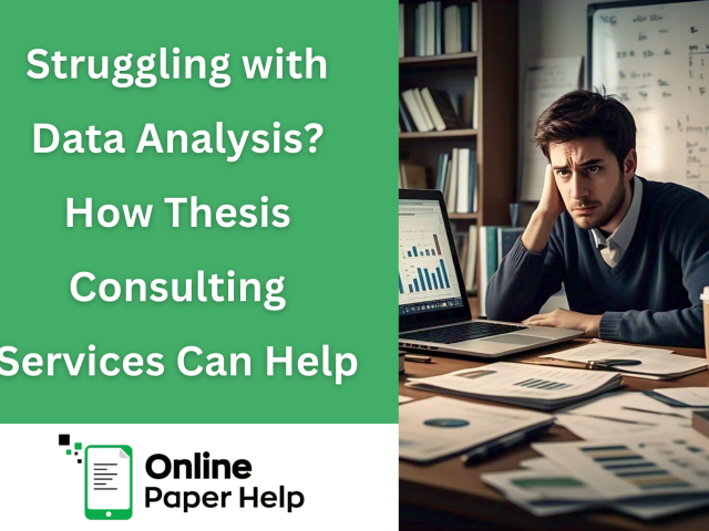 Thesis Consulting Services